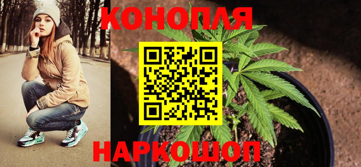 Бошки Шишки Amnesia Москва